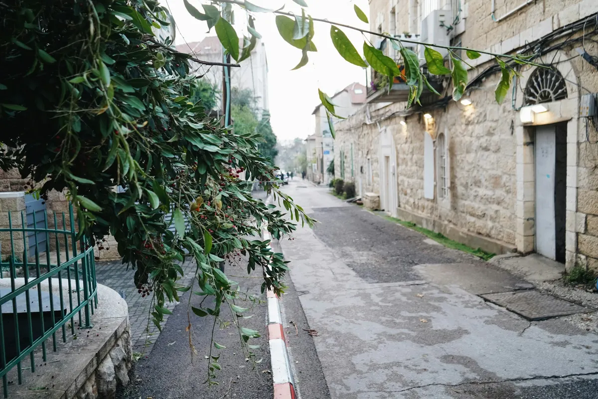 Une rue étroite en pierre de Jérusalem sous les arbres